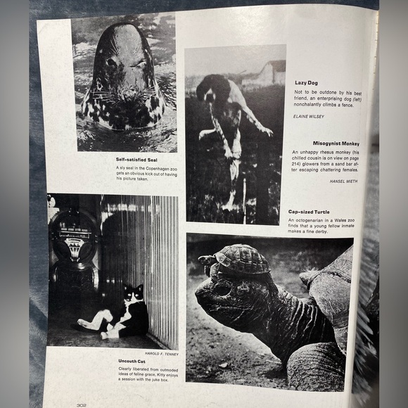 Vintage Book: “The Best of Life” published 1975 - soft cover - Picture 9 of 11